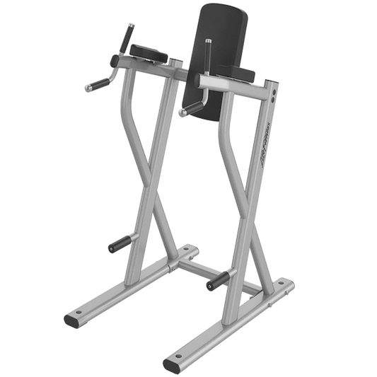 life fitness Life Fitness Dip/Leg Raise
